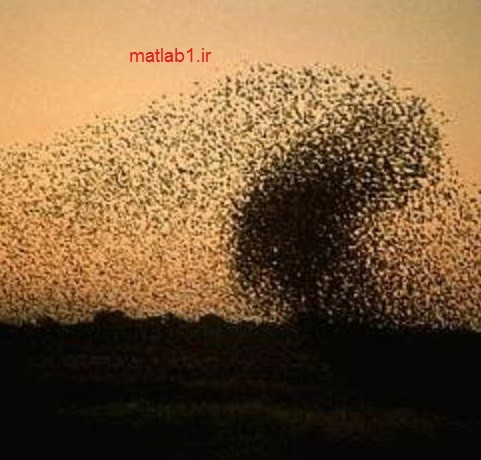 particle swarm optimization MATLAB code free
